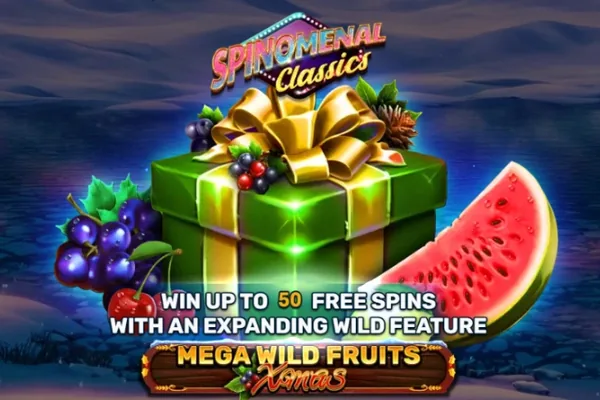 Mega Wild Fruits – Xmas