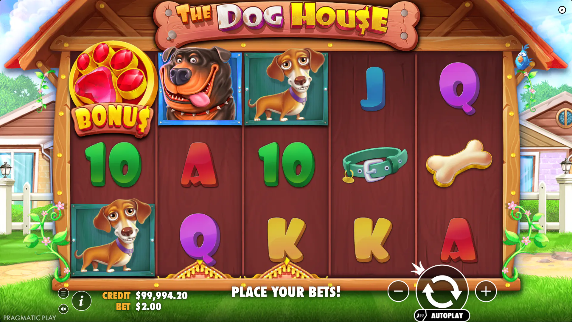 A 5x3 grid showing the 20 fixed paylines and cartoon dog symbols in the base game.