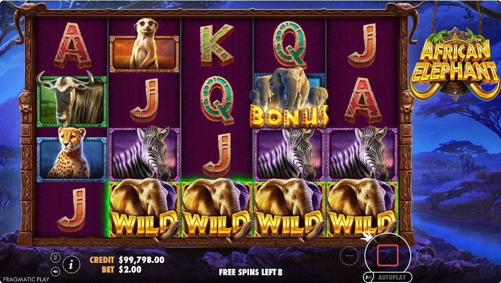Gameplay during the free spins feature of African Elephant, showing the darkened, nighttime background and a guaranteed Wild Shape.