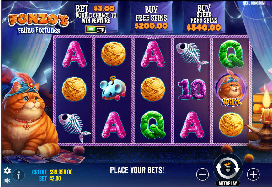 Fonzo's Feline Fortunes