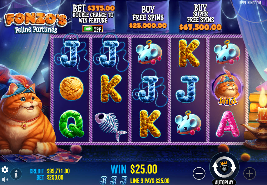Fonzo's Feline Fortunes