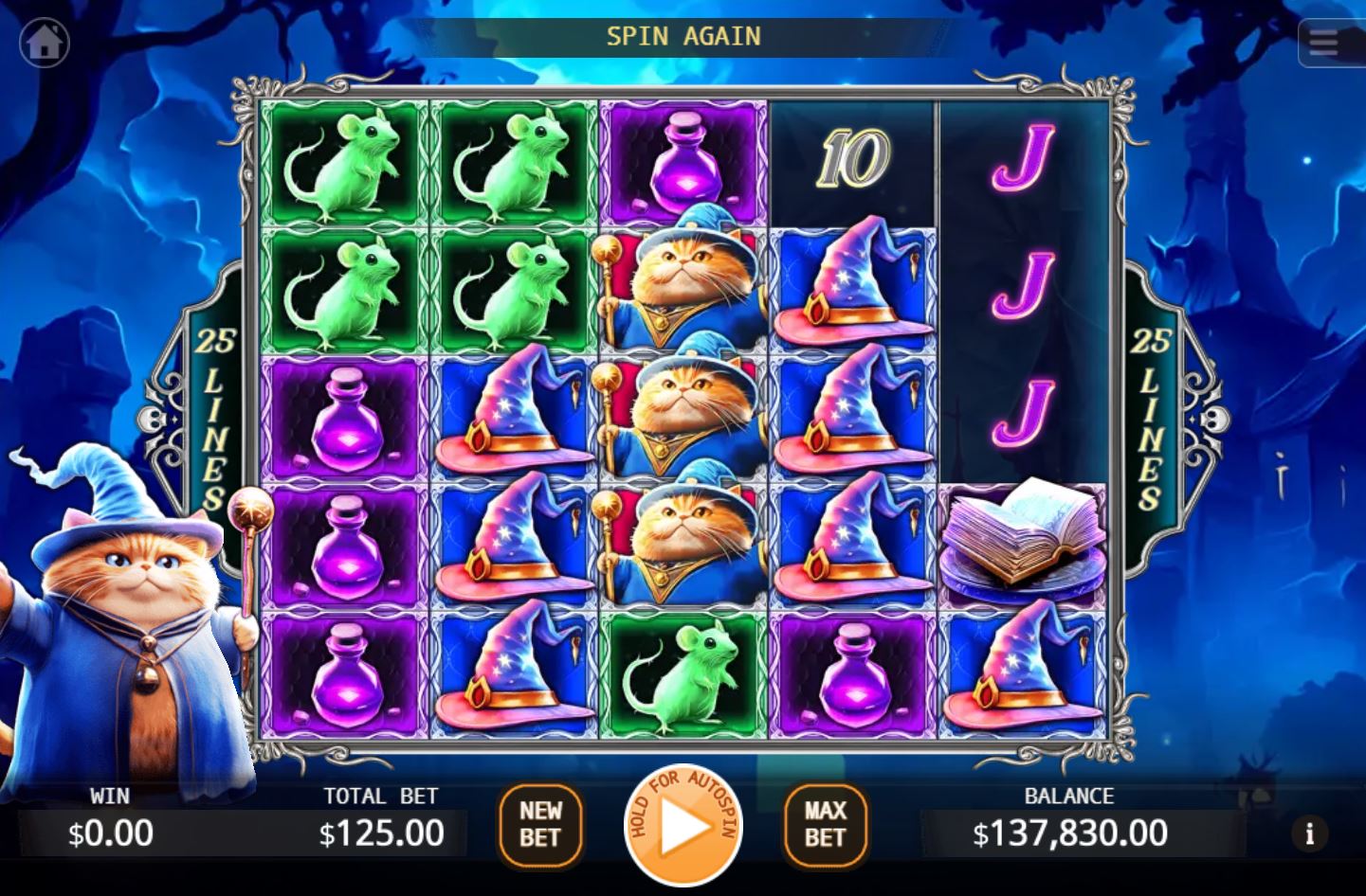 A view of the main 5x5 game grid in the Evil Wizard Cat slot, showing the wizard character.