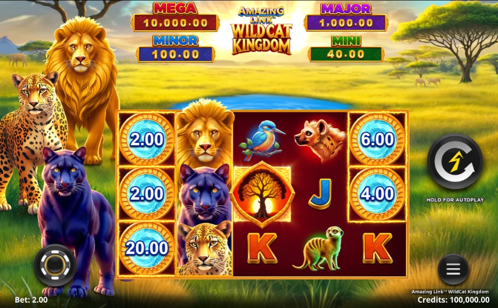 The base game grid of the Amazing Link: Wildcat Kingdom slot, showing wildcat symbols and jackpot values.