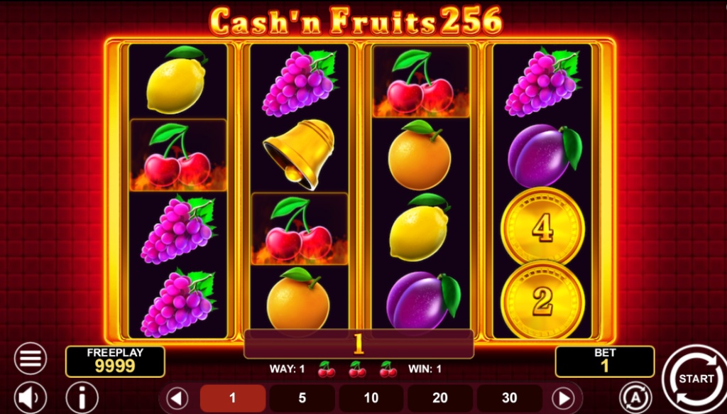 A view of the main 4x4 gameplay grid in the Cash'n Fruits 256 slot, showing various classic fruit symbols and a Coin icon.
