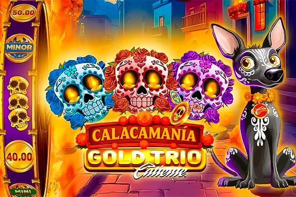 Gold Trio: Calacamania