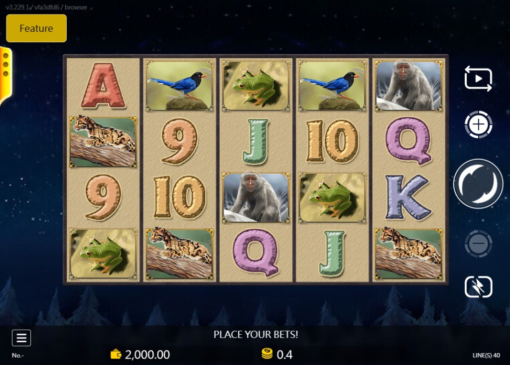 Formosa Bear slot base game 5x4 grid with animal symbols