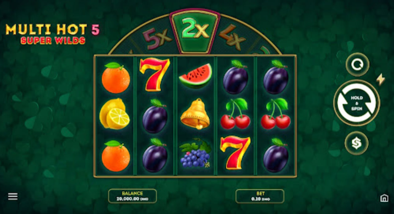 Main interface of Multi Hot 5 Super Wilds slot showing 5 reels, fruit symbols, and the top multiplier reel.