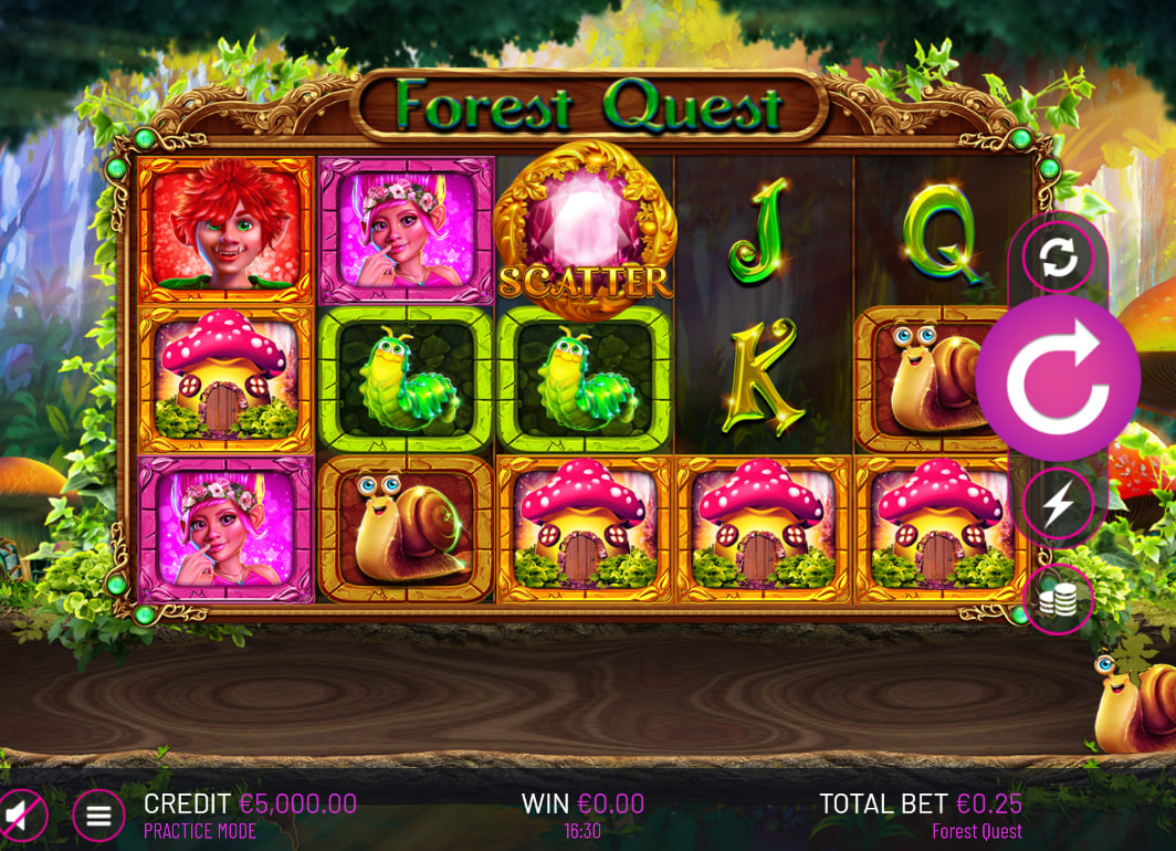 Full 5x3 reel grid of Forest Quest slot featuring gnome and insect symbols to show the fantasy art style and interface layout.