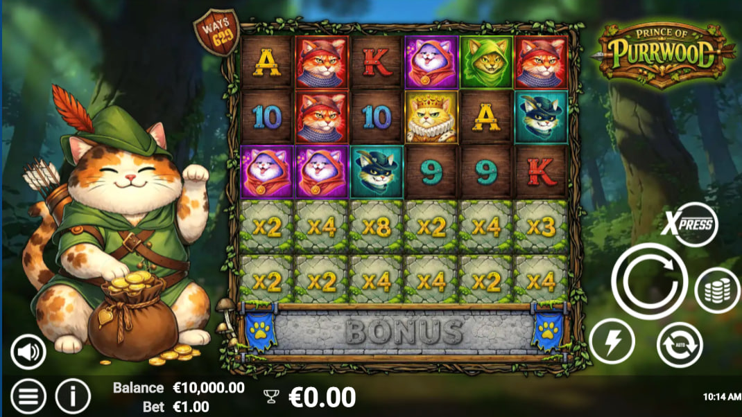 Prince of Purrwood main interface showing the forest background and the active 629 ways to win counter for tracking current payout paths.