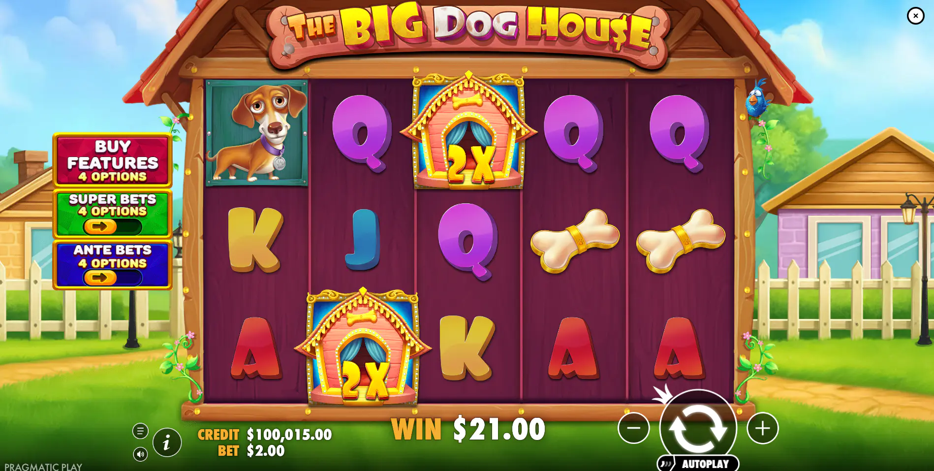 The Big Dog House gameplay screen showing a regular base game win and the default reel presentation
