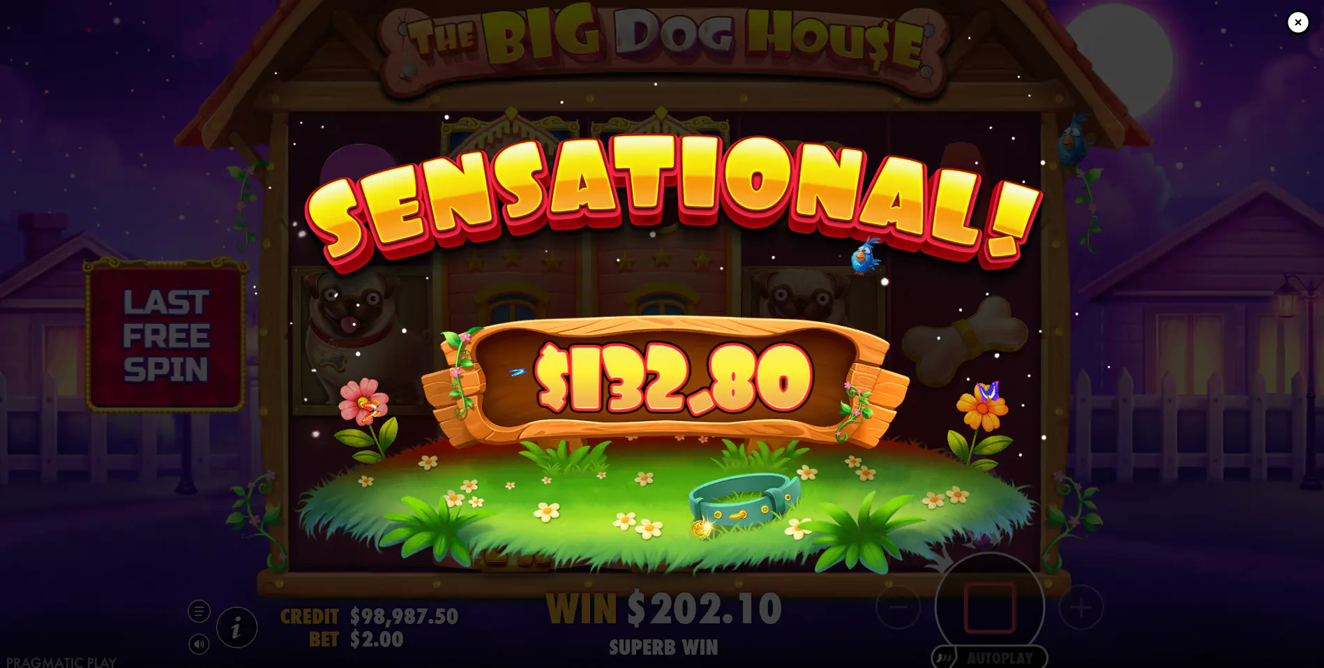 The Big Dog House bonus win screen showing a large payout at the end of a free spins round