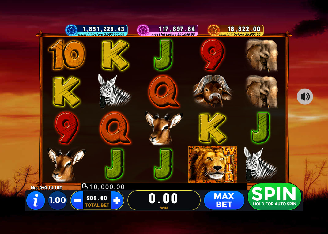 The main 5x4 gameplay grid of 101 Lions slot featuring savanna wildlife symbols under three active progressive jackpot display meters.