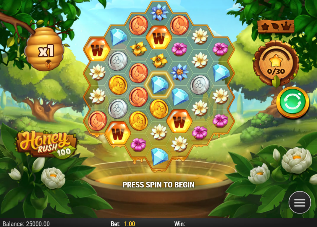Hexagonal grid of Honey Rush 100 slot with flower symbols and a central honey pot at the start of a session