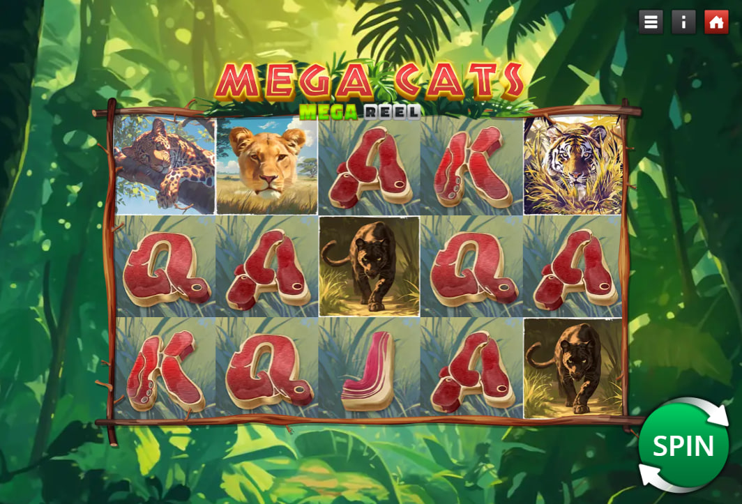 Feline predator icons and raw steak card symbols on the five-reel grid of Mega Cats Mega Reel slot, illustrating the standard interface layout.